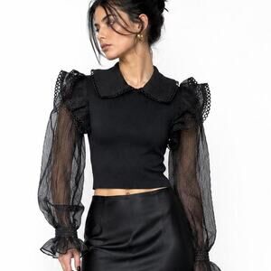 Zara Sheer Puff Sleeve Blouse Dark Academia Whimsy goth Avant Garde